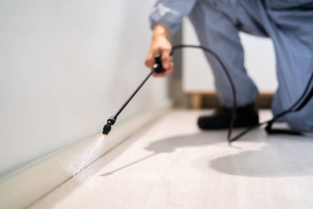 Licensed Termite Control service in Nantucket County County, MA - Nex Pest Control
