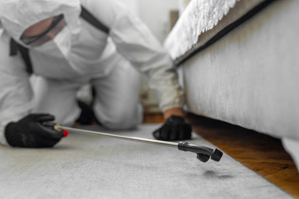 Professional Termite Control technician working in Nantucket County County, MA